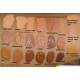 LA Girl Pro Conceal