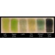 NYX Single Eye Shadow