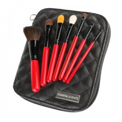 COASTAL SCENTS CiTiSCAPE Travel Brush Set