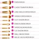 BH Cosmetics Pink Perfection
