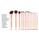 BH Chic - 14 Piece Brush Set with Cosmetic Case