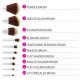 BH Cosmetics Eco Luxe – 10 Piece Brush Set