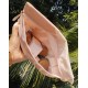 Biossance Pouch FREE Compact Mirror