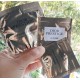 Dior Sample Sachet